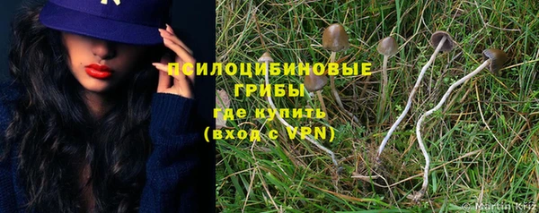 Альфа ПВП Верея